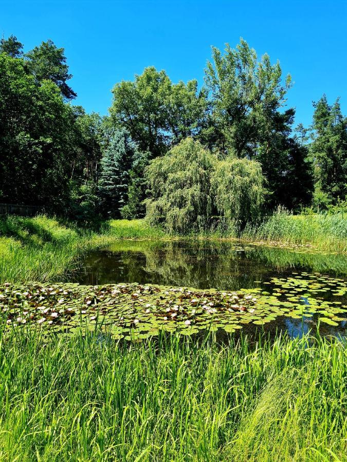 Wrzosowe Siedlisko Villa Czosnów Екстериор снимка